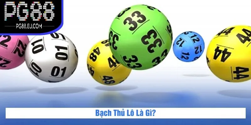 Bạch Thủ Lô Là Gì?