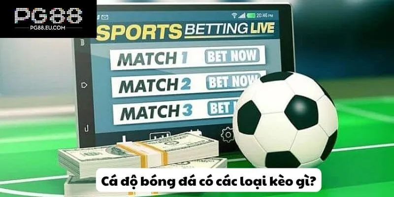Cá độ bóng đá có các loại kèo gì?
