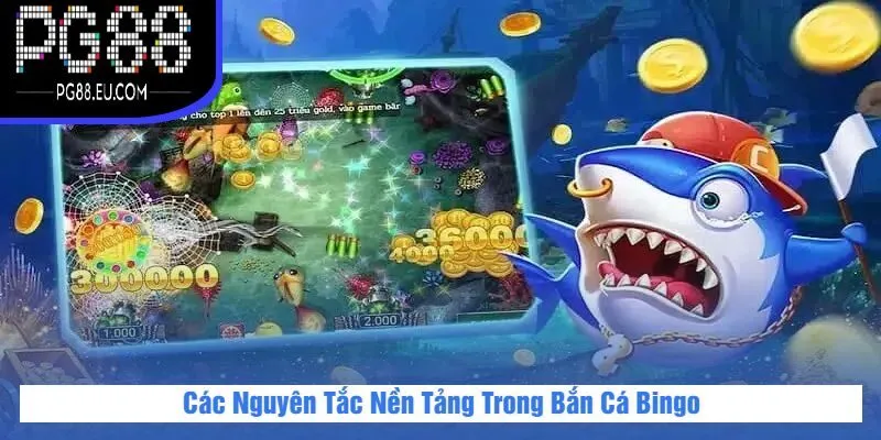 Các Nguyên Tắc Nền Tảng Trong Bắn Cá Bingo
