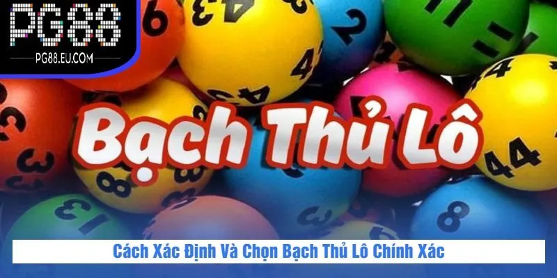 Cách Xác Định Và Chọn Bạch Thủ Lô Chính Xác