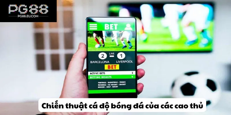 Chiến thuật cá độ bóng đá của các cao thủ