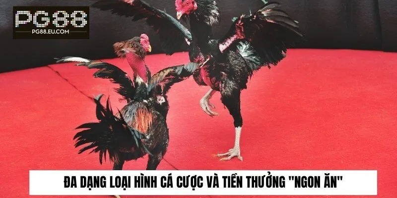 Đa dạng loại hình cá cược và tiền thưởng “ngon ăn”