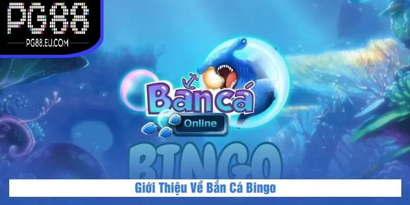 Giới Thiệu Về Bắn Cá Bingo