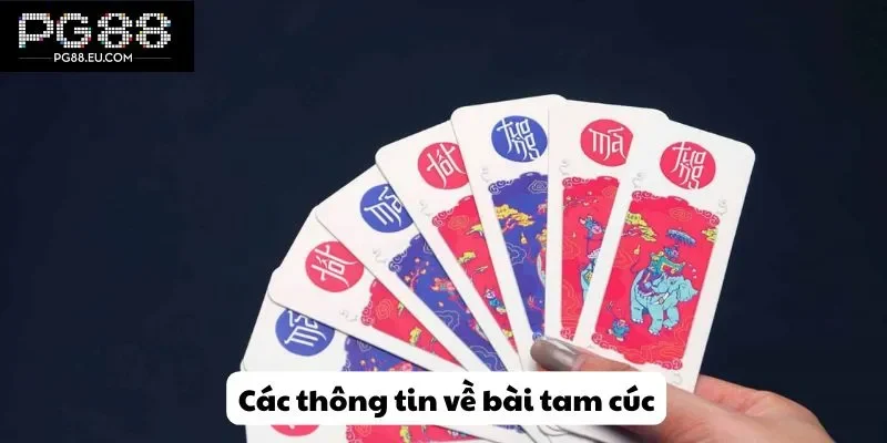Các thông tin về bài tam cúc