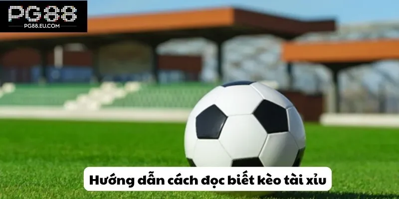 Hướng dẫn cách đọc biết kèo tài xỉu